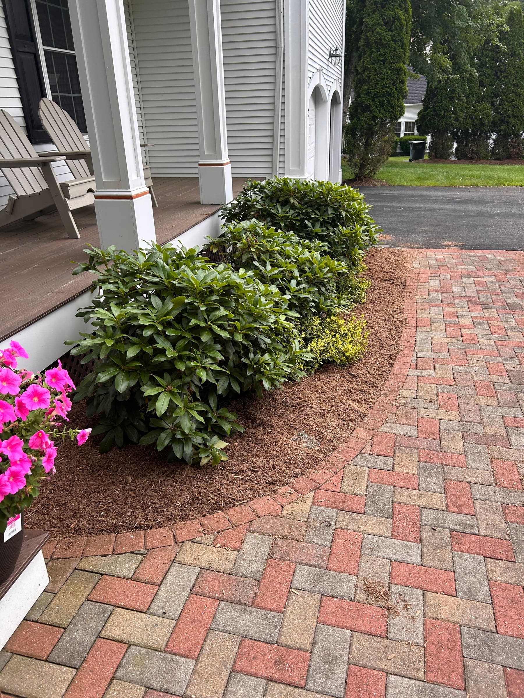 Fresh mulch and clipped boxwoods with pink petunias along a paver retaining wall