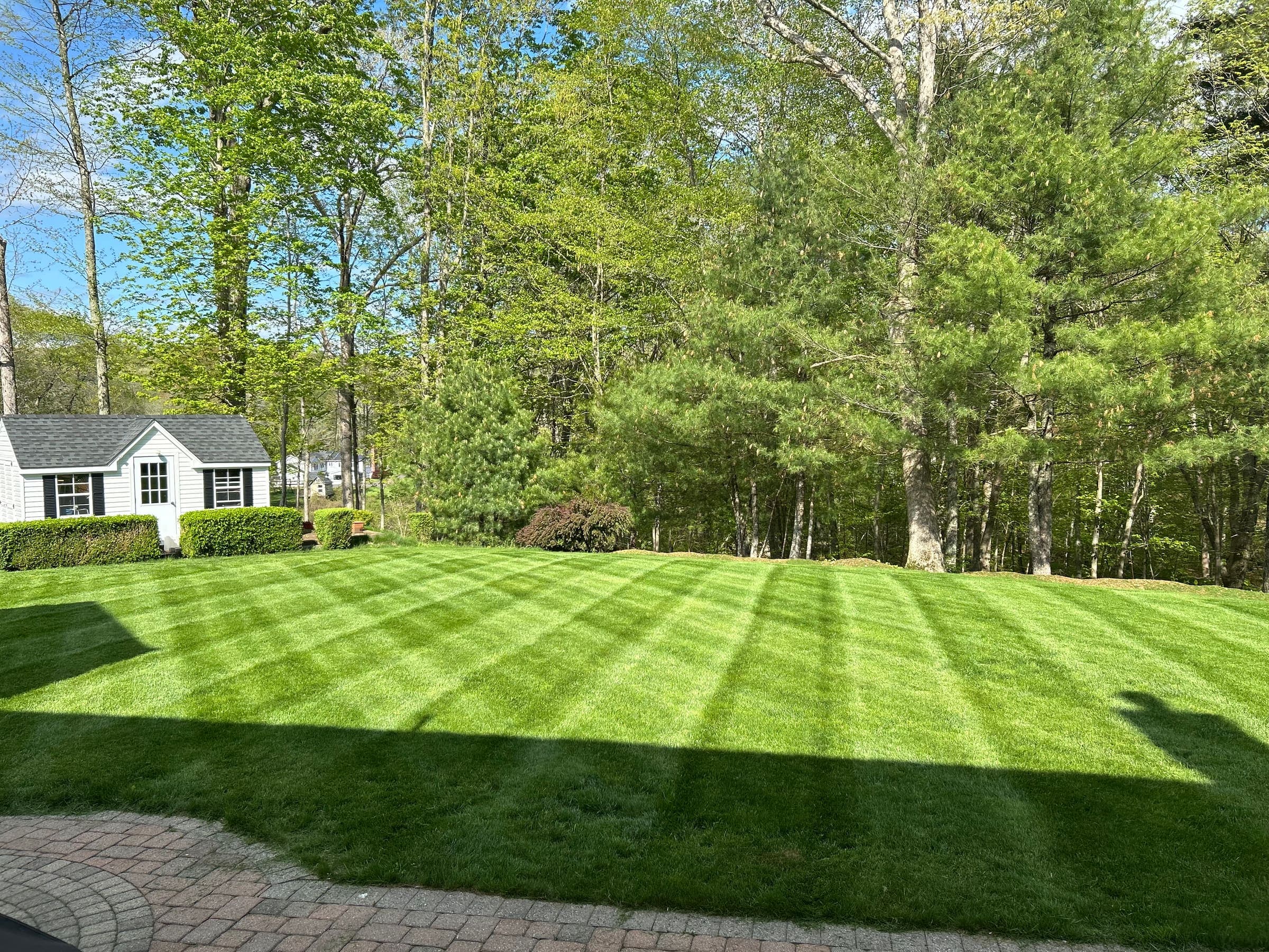 Freshly mowed backyard lawn with clean mowing stripes at a home in Madison, CT